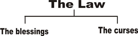 the law